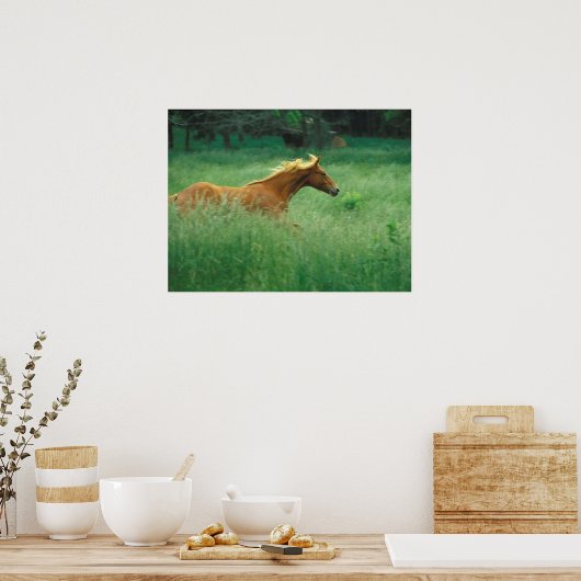 Young Stallion Runs Through Meadow ポスター (キッチン)