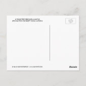 Young Teddy Bear Cholla Cactus,アリゾナ州はがき ポストカード (裏面)