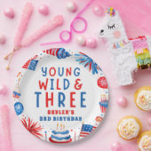 Young Wildと7月3日の4日 ペーパープレート (パーティー)