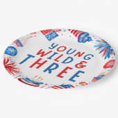 Young Wildと7月3日の4日 ペーパープレート (アングル)