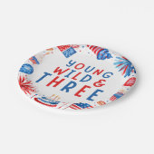 Young Wildと7月3日の4日 ペーパープレート (アングル)