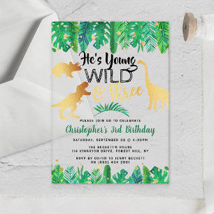 Young Wild & Three Dinosaur Boys 3rd Birthday アクリル招待状