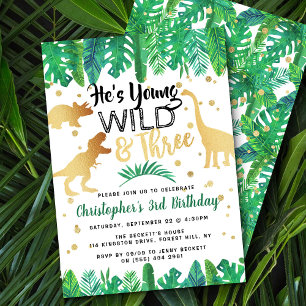 Young Wild & Three Dinosaur Boys 3rd Birthday 招待状