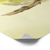 Young Wood Warbler ポスター (角)