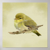 Young Wood Warbler ポスター (正面)