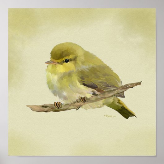 Young Wood Warbler ポスター (正面)