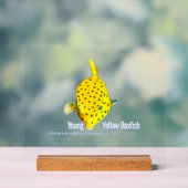 Young Yellow Boxfish アクリルサイン (ニュートラル)