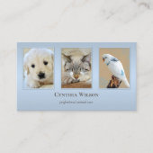 Your 4 Photos Animal Clinicまたは気にDusty Blue 名刺 (正面)