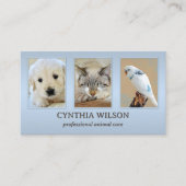 Your 4 Photos Animal Clinicまたは気にDusty Blue 名刺 (正面)