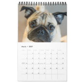 Your Dog 14 Photos引用文2026 カレンダー (3月 2027)
