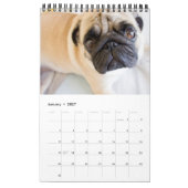Your Dog 14 Photos引用文2026 カレンダー (1月 2027)
