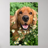 Your Dog Image Here ポスター (正面)