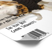 Your dog on a magazine cover "Glamor Dogs" ポスター (角)