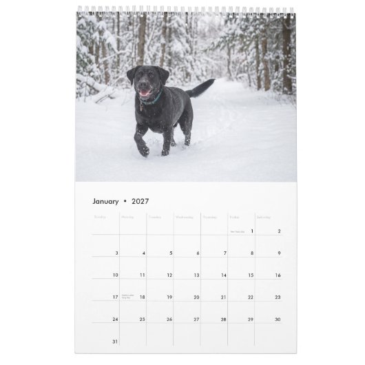 Your Dog Photos Personalized Custom Made カレンダー (1月 2027)