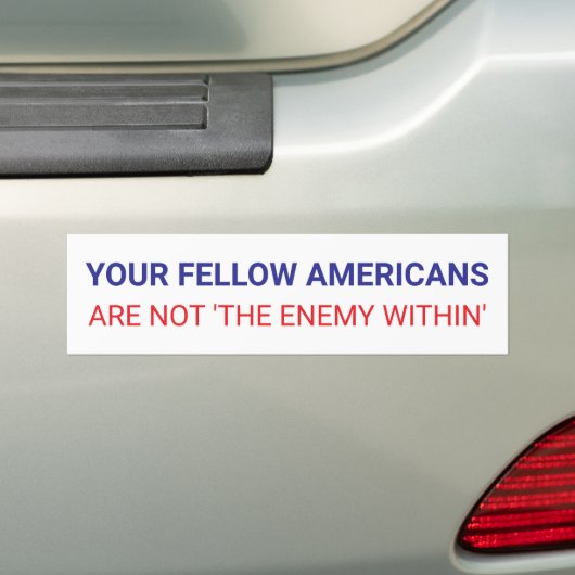 Your Fellow Americans Unity Political  バンパーステッカー (車上)