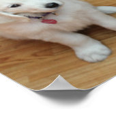 Your furr babies on paper ポスター (角)