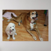 Your furr babies on paper ポスター (正面)