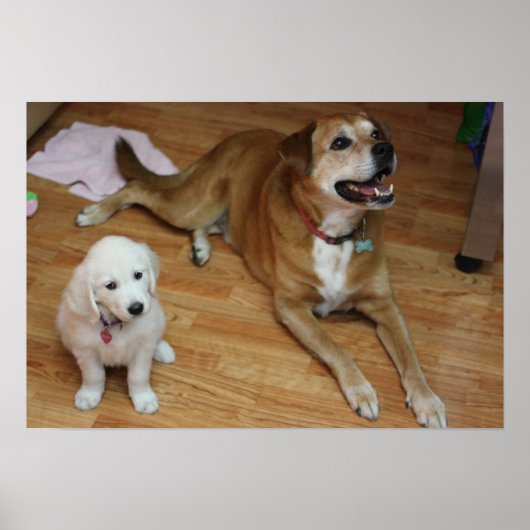 Your furr babies on paper ポスター (正面)