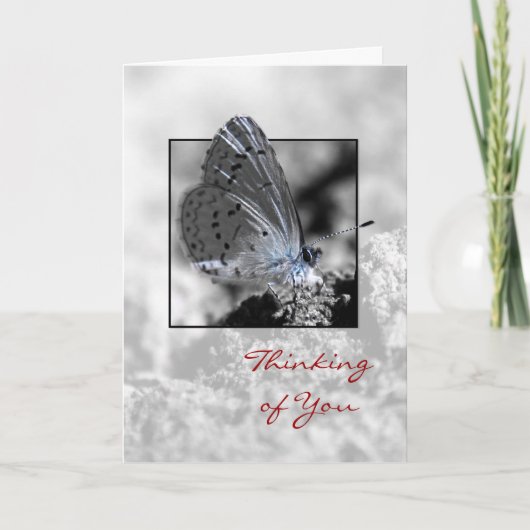 Your Holly 考え Blue Butterfly Greeting Card カード (正面)