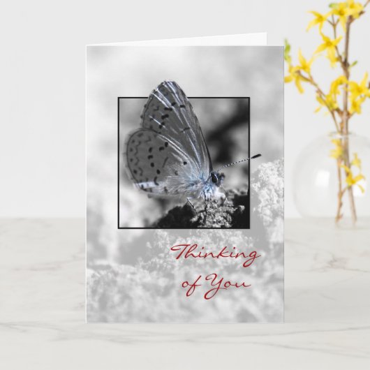 Your Holly 考え Blue Butterfly Greeting Card カード (黄色い花)