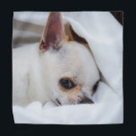 Your pet dog puppy custom photo chihuahua バンダナ<br><div class="desc">Your pet dog puppy custom photo chihuahua. 
Customize it with Your photo of pets,  dogs,  cats.. Lovely custom gift for animal lovers. 
dog, puppy, animal, custom photo, cute, pets,  chihuahua</div>