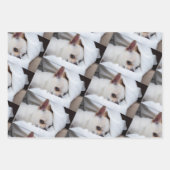 Your pet dog puppy custom photo chihuahua pattern ラッピングペーパーシート (正面)