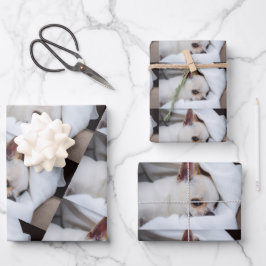 Your pet dog puppy custom photo chihuahua pattern ラッピングペーパーシート
