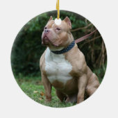 YOUR PET Memorial Photo 2面 セラミックオーナメント (裏面)