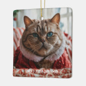 Your Pet Photo Funny Christmas セラミックオーナメント (左)