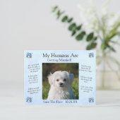 Your Pet Photo - Save The Date ポストカード (スタンド正面)