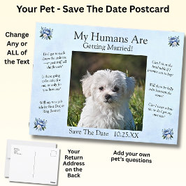 Your Pet Photo - Save The Date ポストカード