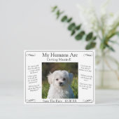 Your Pet Photo Save The Date Black White Infinity ポストカード (スタンド正面)