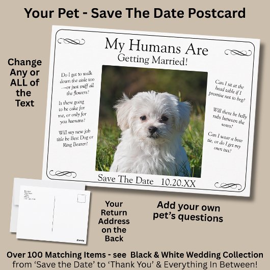 Your Pet Photo Save The Date Black White Infinity ポストカード