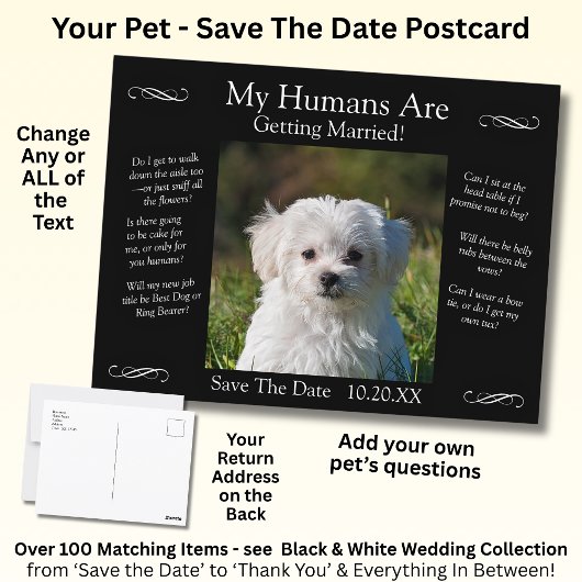 Your Pet Photo Save The Date Black White Infinity ポストカード