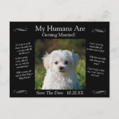 Your Pet Photo Save The Date Black White Infinity ポストカード (正面)