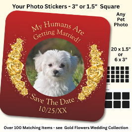Your Pet Photo, Save The Date, Gold Flowers Maroon スクエアシール