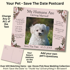 Your Pet Photo Save The Date Pink Roses & Doves ポストカード
