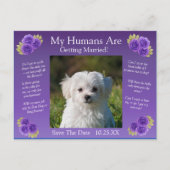 Your Pet Photo Save The Date Purple Mauve Flowers ポストカード (正面)