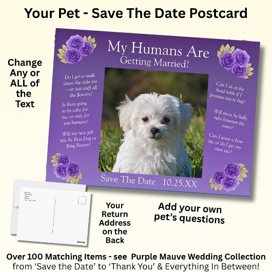 Your Pet Photo Save The Date Purple Mauve Flowers ポストカード