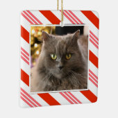 Your Pet Photo Strawberry Candy Cane Striped セラミックオーナメント (右)