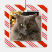 Your Pet Photo Strawberry Candy Cane Striped セラミックオーナメント (裏面)