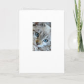 Your Photo エレガント Gray ストライプの Cat Companity Card カード (裏面)