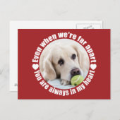 YOUR PHOTO Far Apart Loveはがきカスタム ポストカード (正面/裏面)