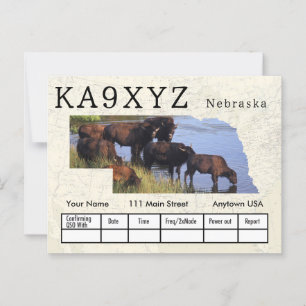 Your Photo Nebraskaの形をした切り出しカスタムQSL ポストカード