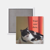 Your Text Words Tuxedo Cat Photo Magnets マグネット (正面/裏面)