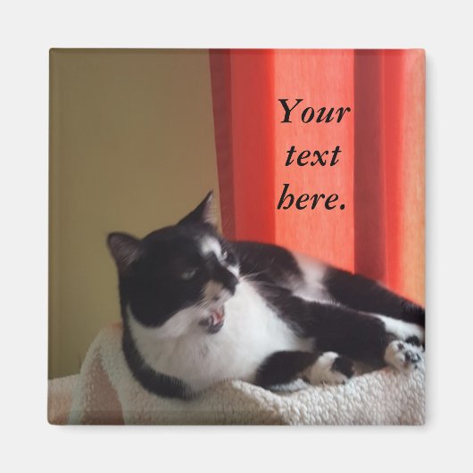 Your Text Words Tuxedo Cat Photo Magnets マグネット (正面)