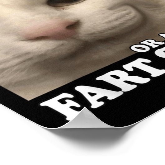 You're Either A Smart Fella Or A Fart Smella Funny ポスター (角)