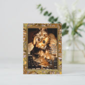 YouTubeヨークシャーテリア ポストカード (スタンド正面)