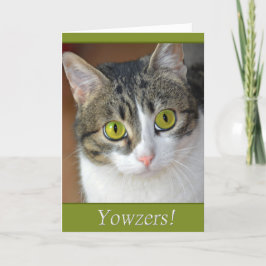 Yowzers カード