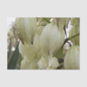 Yucca Plant  薄葉紙 (正面)